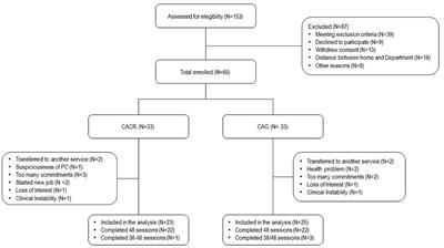 Effects of Cognitive Remediation on Cognition, Metacognition, and Social Cognition in Patients With Schizophrenia
